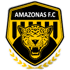 亚马逊FC 队徽